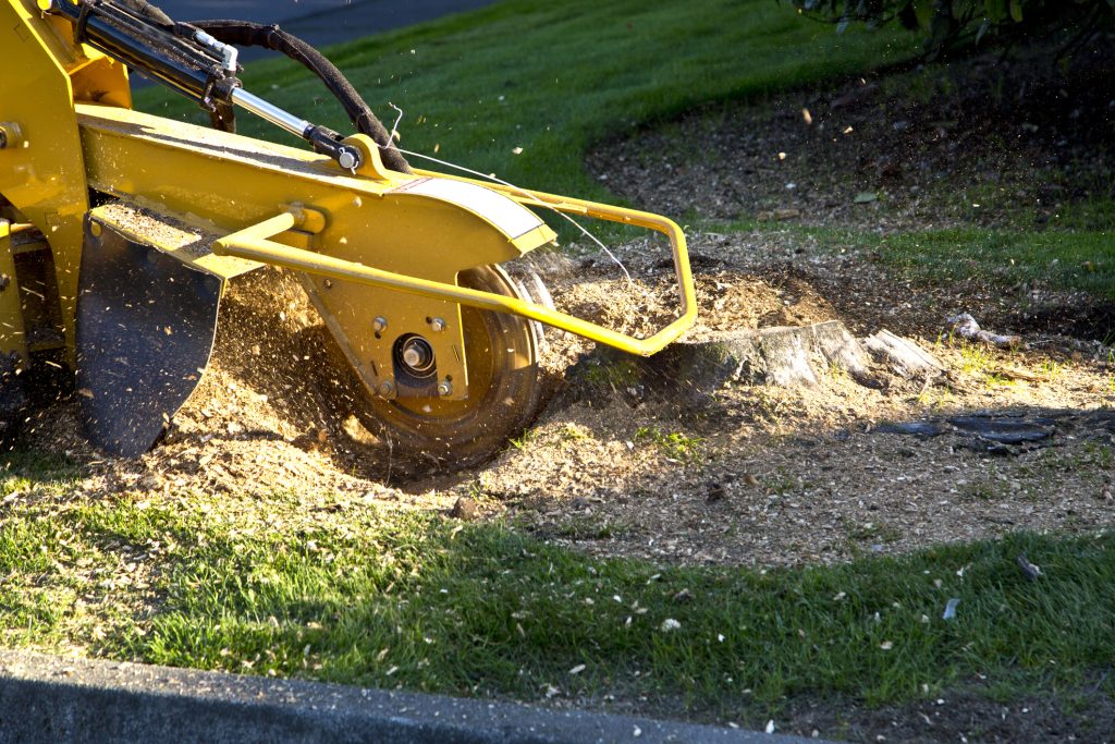 Stump Grinding 1